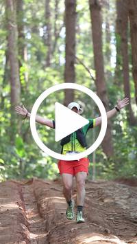 BIB:  <button type="button" onclick="openModal(26569589)" class="btn btn-primary btn-sm float-right" data-toggle="modal" data-target=".modal-high-quality">
                <i class="fa fa-download"></i> Download
                </button>